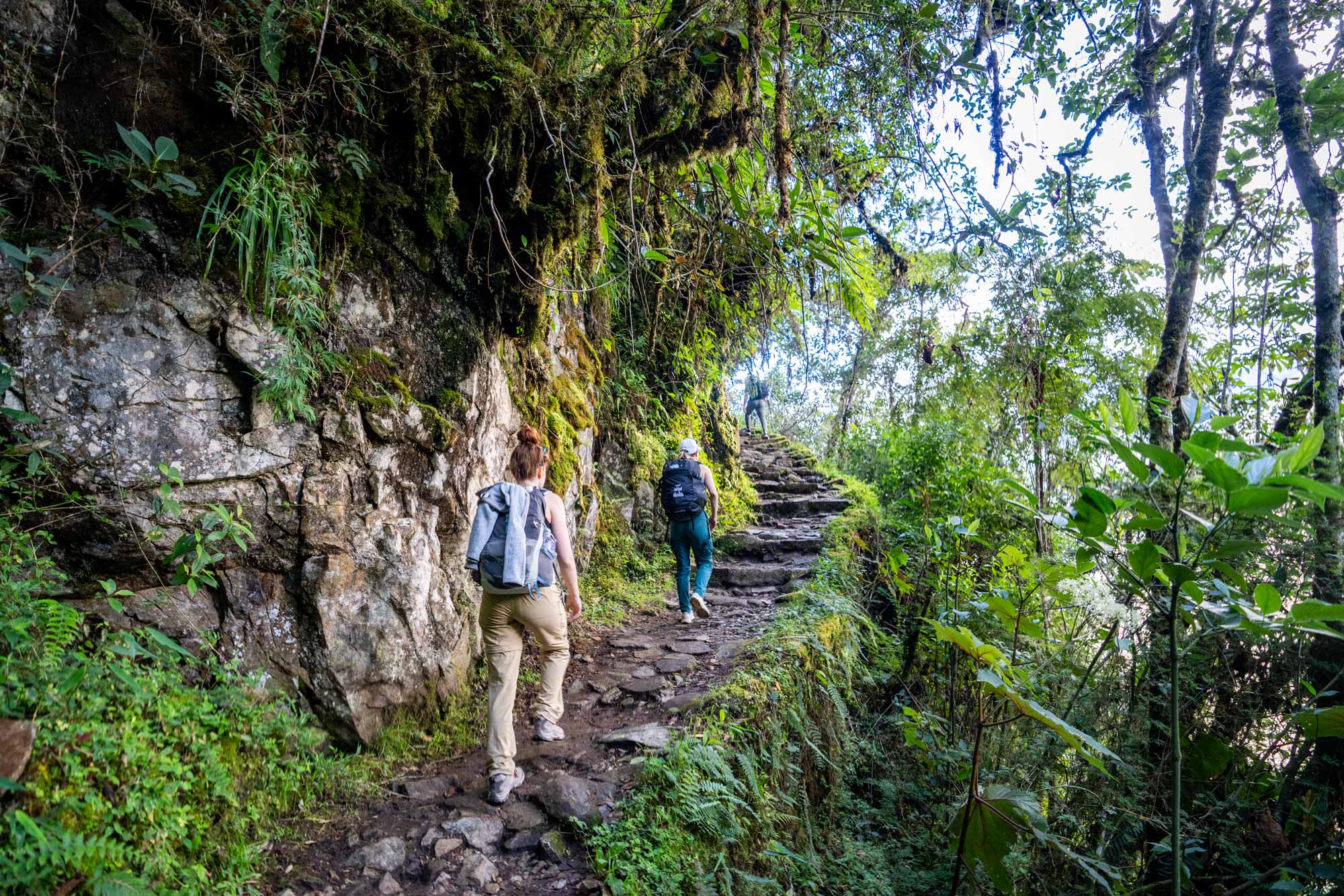 Excursionistas subiendo escalones de piedra junto a un muro inca cubierto de musgo